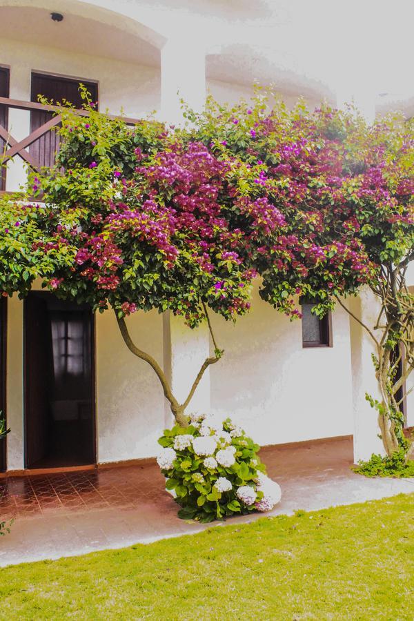 Hotel Del Diablo Punta Del Diablo Εξωτερικό φωτογραφία
